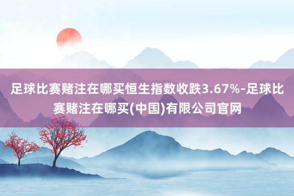 足球比赛赌注在哪买恒生指数收跌3.67%-足球比赛赌注在哪买(中国)有限公司官网