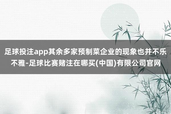 足球投注app其余多家预制菜企业的现象也并不乐不雅-足球比赛赌注在哪买(中国)有限公司官网